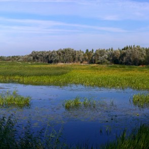 Lubānas ezera panorāma Lubānas ezera panorāma