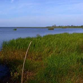 Lubānas ezera ainava Lubānas ezera ainava