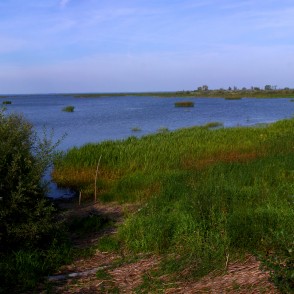 Lubānas ezera panorāma Lubānas ezera panorāma