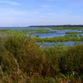 Lubānas ezera panorāma Lubānas ezera panorāma