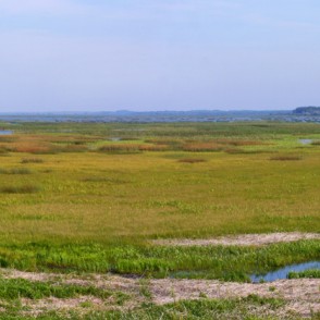 Lubānas ezera panorāma Lubānas ezera panorāma