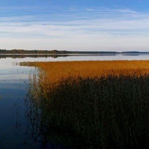 Usmas ezera panorāma pie Amjūdzes Usmas ezera panorāma pie Amjūdzes
