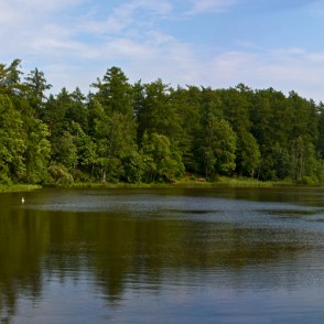 Kazdangas Dzirnezera panorāma Kazdangas Dzirnezera panorāma