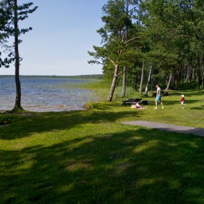 Būšnieku ezera peldvieta Būšnieku ezera peldvieta