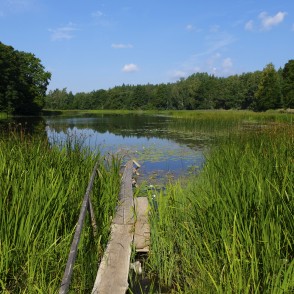 Dārtes ezers Dārtes ezers