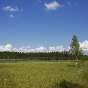 Kangaru ezers (Lielais Kangaru ezers) Kangaru ezers (Lielais Kangaru ezers)