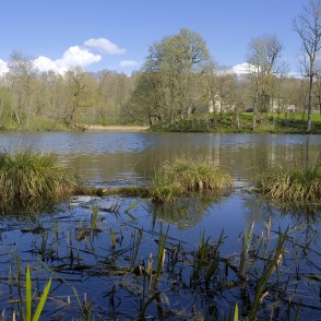 Embūtes pils dīķis Embūtes pils dīķis