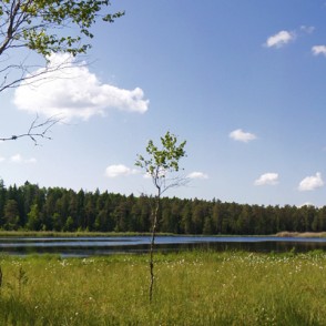 Kangaru ezers (Lielais Kangaru ezers) Kangaru ezers (Lielais Kangaru ezers)