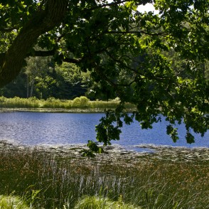 Mācītājmuižas ezers Mācītājmuižas ezers