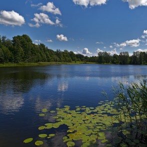 Čumals (ezers) Čumals (ezers)