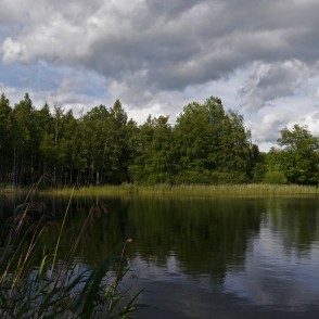 Bērzene (ezers) Bērzene (ezers)