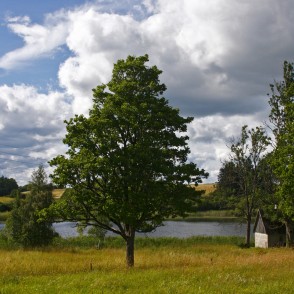 Kalnezers (Lejaslāču ezers) Kalnezers (Lejaslāču ezers)