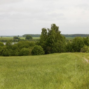 Tērvetes ūdenskrātuve (Gulbju dīķis) Tērvetes ūdenskrātuve (Gulbju dīķis)