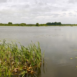 Tērvetes ūdenskrātuve (Gulbju dīķis) Tērvetes ūdenskrātuve (Gulbju dīķis)