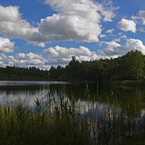 Bērzene (ezers) Bērzene (ezers)