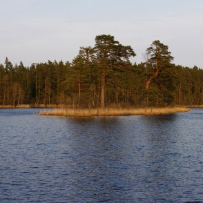 Dižieres ezera sala Dižieres ezera sala