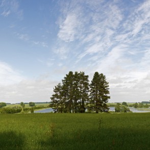 Tērvetes ūdenskrātuve (Gulbju dīķis) Tērvetes ūdenskrātuve (Gulbju dīķis)