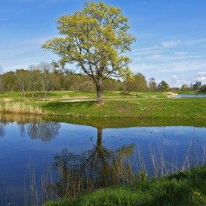 Durbes pilskalna takas ainava Durbes pilskalna takas ainava