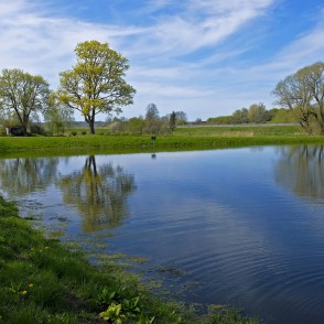Durbes pilskalna takas ainava Durbes pilskalna takas ainava