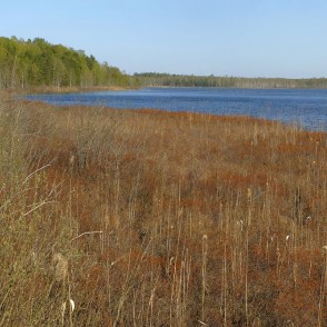 Klāņezera panorāma pavasarī Klāņezera panorāma pavasarī