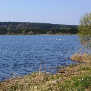 Tērvetes (Gulbju) ūdenskrātuve un gulbji Tērvetes (Gulbju) ūdenskrātuve un gulbji