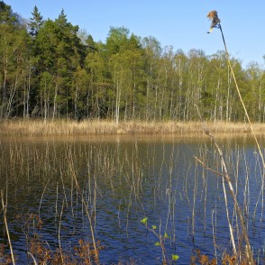 Klāņezera pavasara ainava Klāņezera pavasara ainava