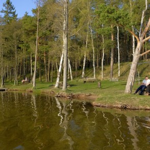 Būšnieku ezera peldvieta Būšnieku ezera peldvieta