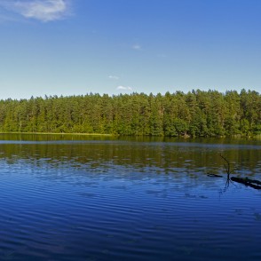 Mordangas ezera panorāma Mordangas ezera panorāma