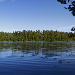 The Landscape of Mežmuiža Lake The Landscape of Mežmuiža Lake