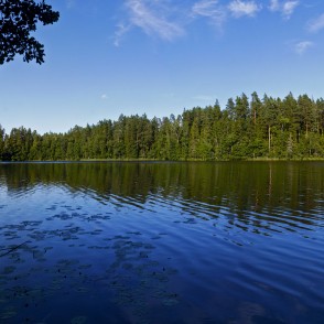The Landscape of Mežmuiža Lake The Landscape of Mežmuiža Lake