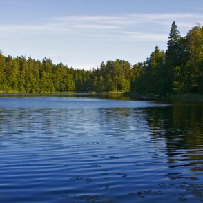 The Landscape of Mežmuiža Lake The Landscape of Mežmuiža Lake
