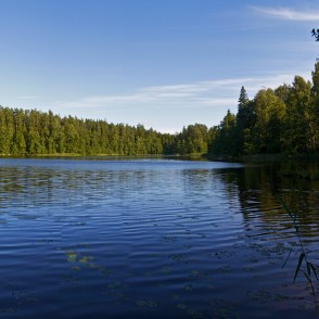 Mežmuiža Lake Mežmuiža Lake