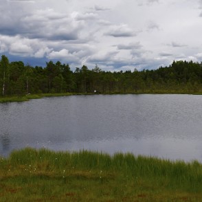 Kalnansu purvs un Bezdibeņa ezers Kalnansu purvs un Bezdibeņa ezers