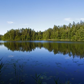 Mežmuiža Lake Panorama Mežmuiža Lake Panorama