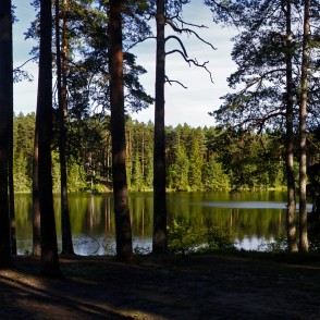 Zilonīša ezera krasts Zilonīša ezera krasts