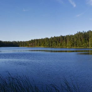 Zilonīša ezera panorāma Zilonīša ezera panorāma