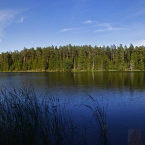 Ezers Zilonis Ezers Zilonis