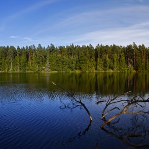 Zilonīša ezera panorāma Zilonīša ezera panorāma
