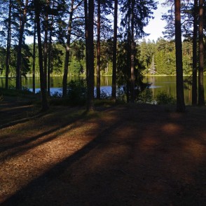 Zilonīša ezera krasts Zilonīša ezera krasts