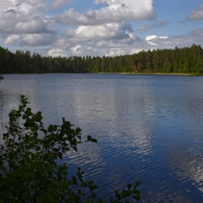 Ezers Zilonis Ezers Zilonis