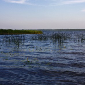 Usmas ezers pie Elkraga Usmas ezers pie Elkraga