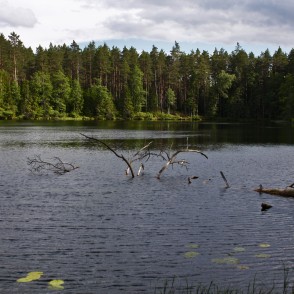 Ezers Zilonis Ezers Zilonis