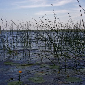 Usmas ezers Usmas ezers