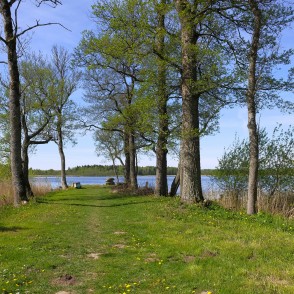 Remtes ezera ainava Remtes ezera ainava