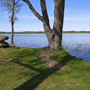 No Somijas atvestais dekoratīvais akmens No Somijas atvestais dekoratīvais akmens