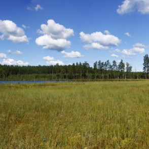 Kangaru ezers (Lielais Kangaru ezers) Kangaru ezers (Lielais Kangaru ezers)