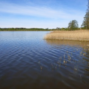 Remtes ezera ainava Remtes ezera ainava