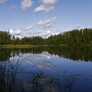Mežmuiža Lake Panorama Mežmuiža Lake Panorama