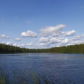 Zilonīša ezera panorāma Zilonīša ezera panorāma