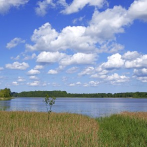 Sasmakas ezera vasaras ainava Sasmakas ezera vasaras ainava